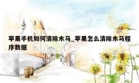 苹果手机如何清除木马_苹果怎么清除木马程序数据