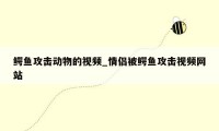 鳄鱼攻击动物的视频_情侣被鳄鱼攻击视频网站