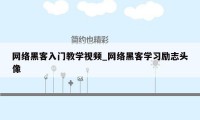 网络黑客入门教学视频_网络黑客学习励志头像