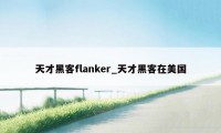 天才黑客flanker_天才黑客在美国