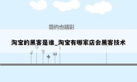 淘宝的黑客是谁_淘宝有哪家店会黑客技术