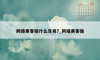 网络黑客指什么生肖?_网络黑客指