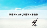 渗透测试技术_渗透测试老品牌