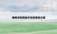 暗网浏览网站中文的简单介绍