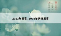 2013年黑客_2008年网络黑客