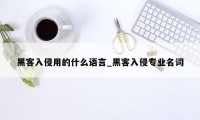 黑客入侵用的什么语言_黑客入侵专业名词