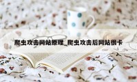 爬虫攻击网站原理_爬虫攻击后网站很卡